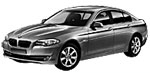 BMW F10 P319A Fault Code